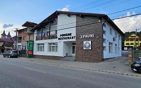 Pensiune Restaurant Pizzerie 2 Pauni